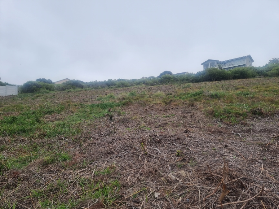 0 Bedroom Property for Sale in Dana Bay Western Cape